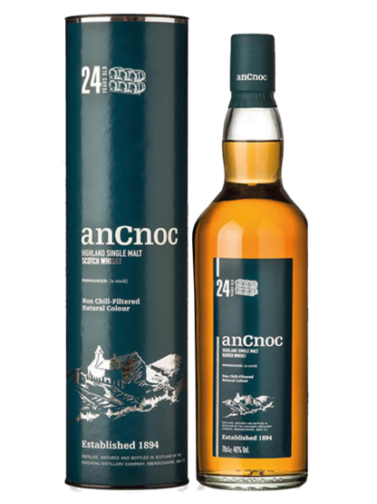 ancnoc 24 year old